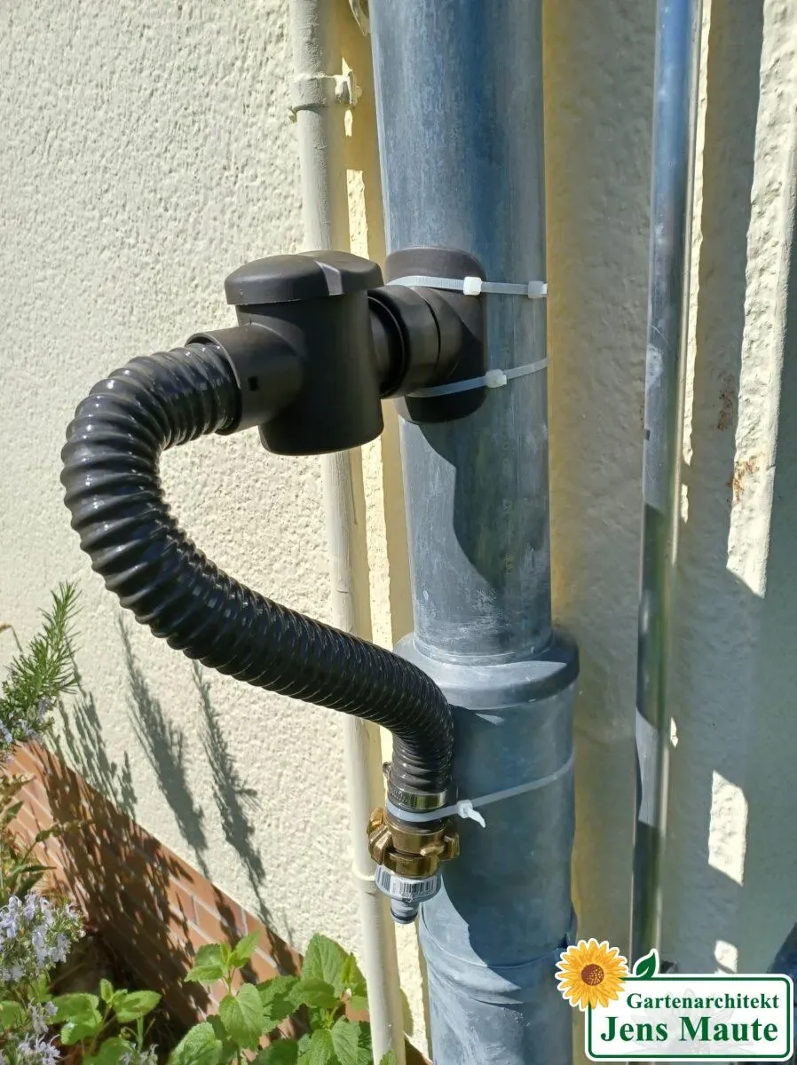 Regensammler am Fallrohr, der Regenwasser vom Dach in eine Regentonne leitet