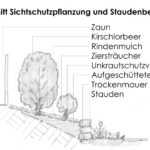 strauchpflanzung bepflanzung pflanzkonzept