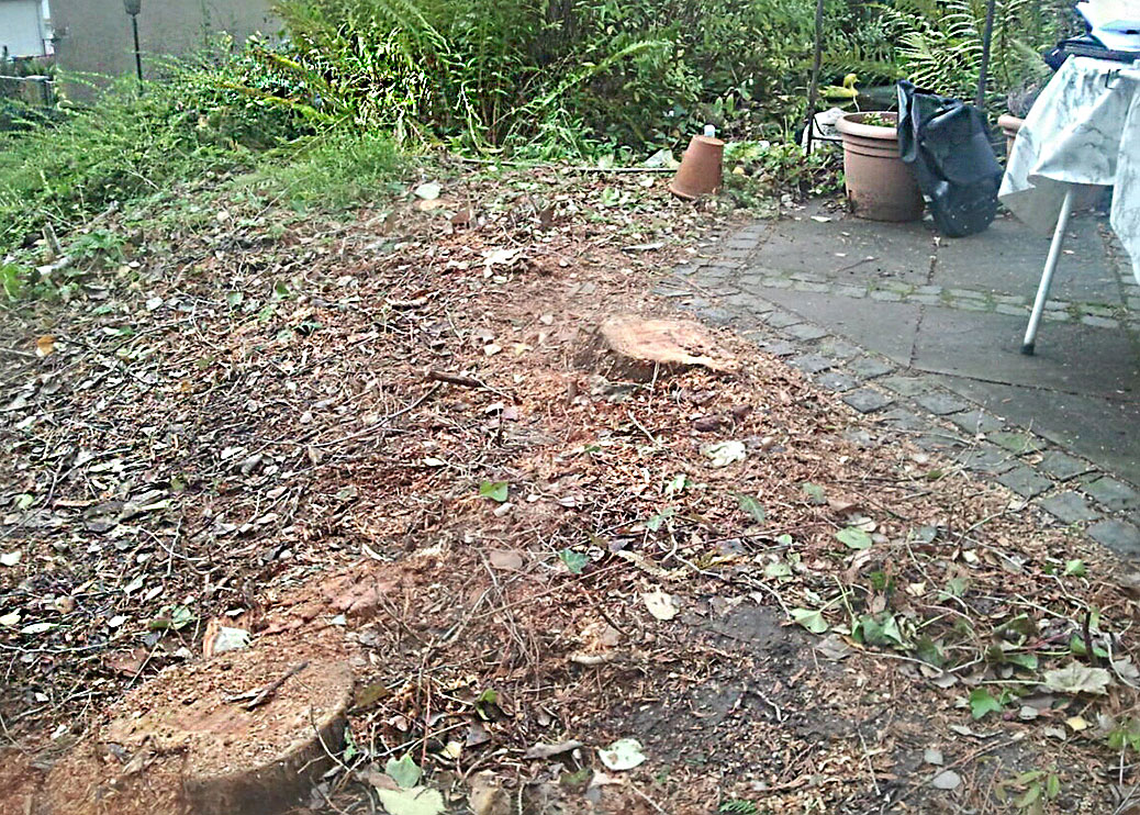 Before