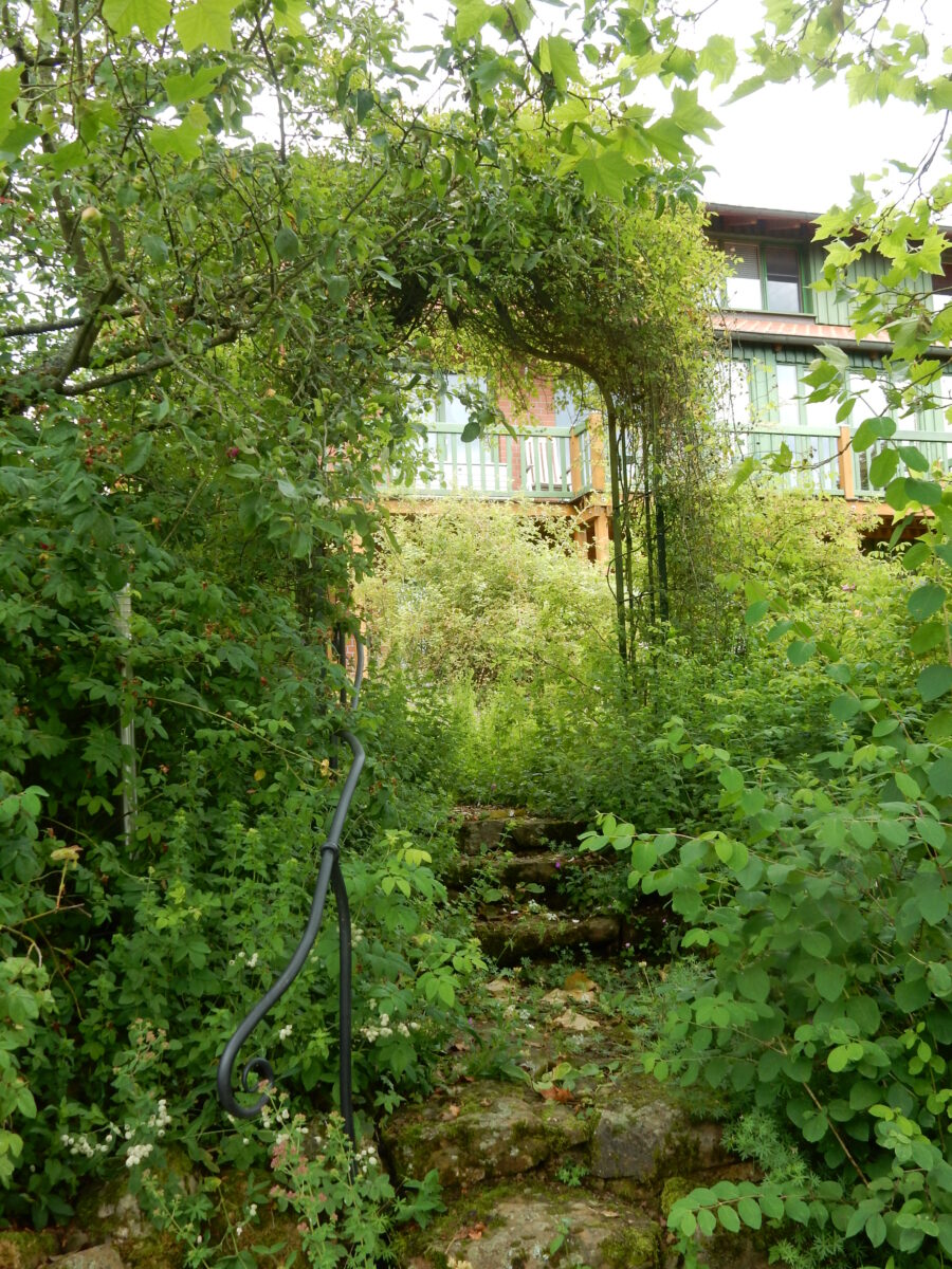 Wildstrauchhecke - Imagen 2